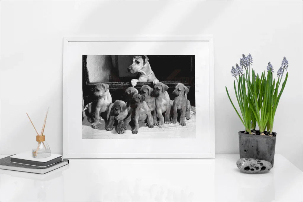 Mama Yank & her Puppies - VINTAGEARTREPRINTS.COM