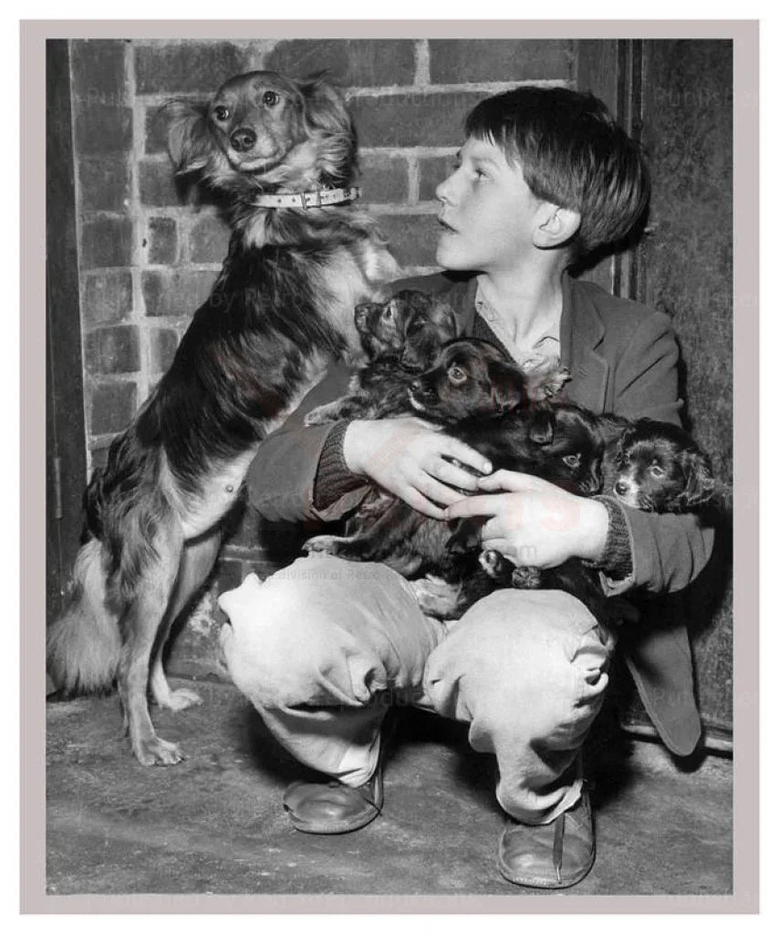 Mongrel & her Pups - VINTAGEARTREPRINTS.COM