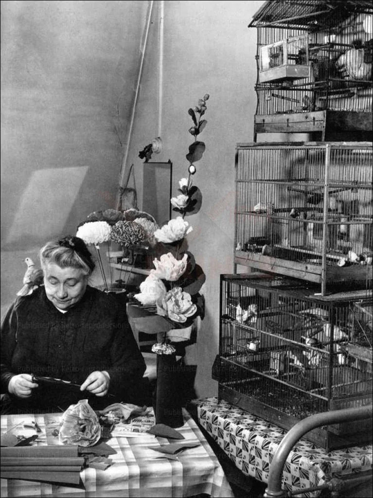 Elder Woman with Birds - VINTAGEARTREPRINTS.COM
