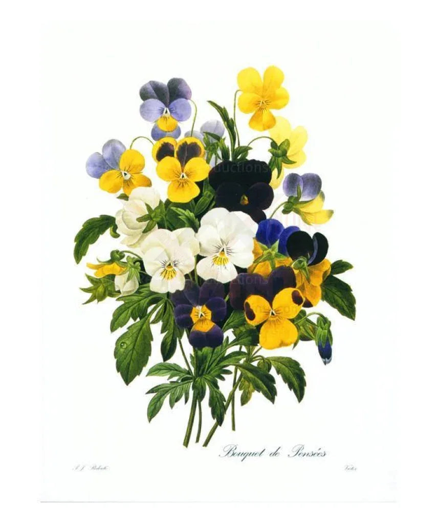 Bouquet de Pensees - VINTAGEARTREPRINTS.COM