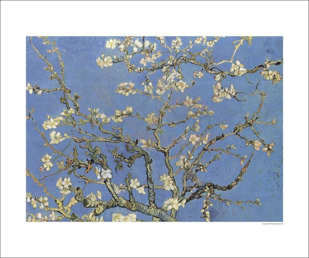 Almond tree, Vincent Van Gogh - VINTAGEARTREPRINTS.COM