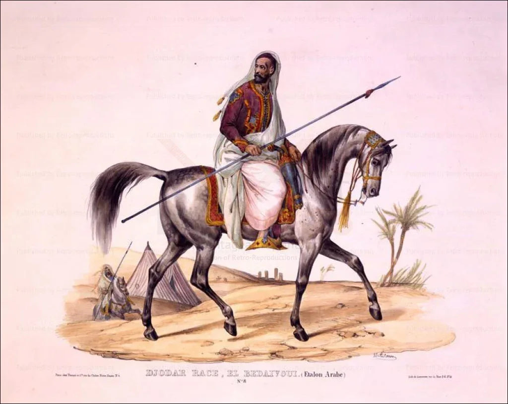 Etalon Arab Horse - VINTAGEARTREPRINTS.COM