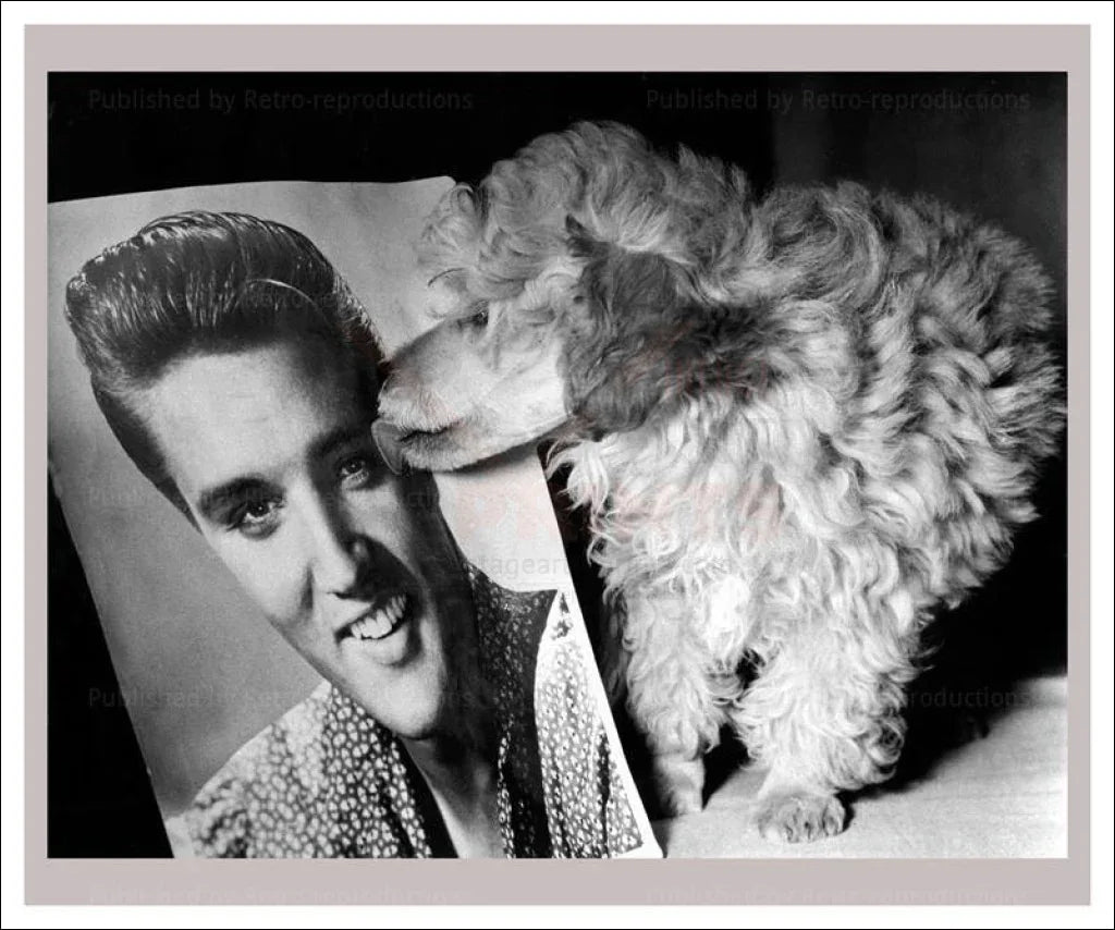 Dog licking Elvis picture - VINTAGEARTREPRINTS.COM