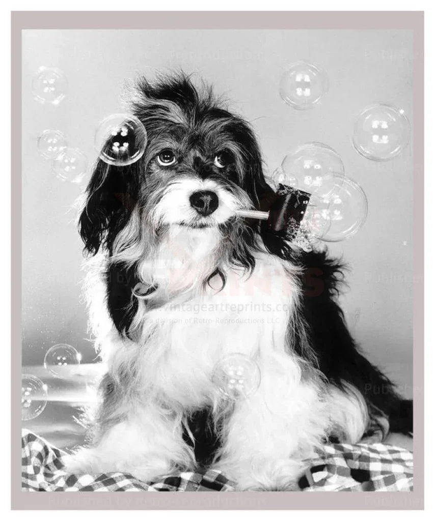 Pippin Blows Bubbles - VINTAGEARTREPRINTS.COM