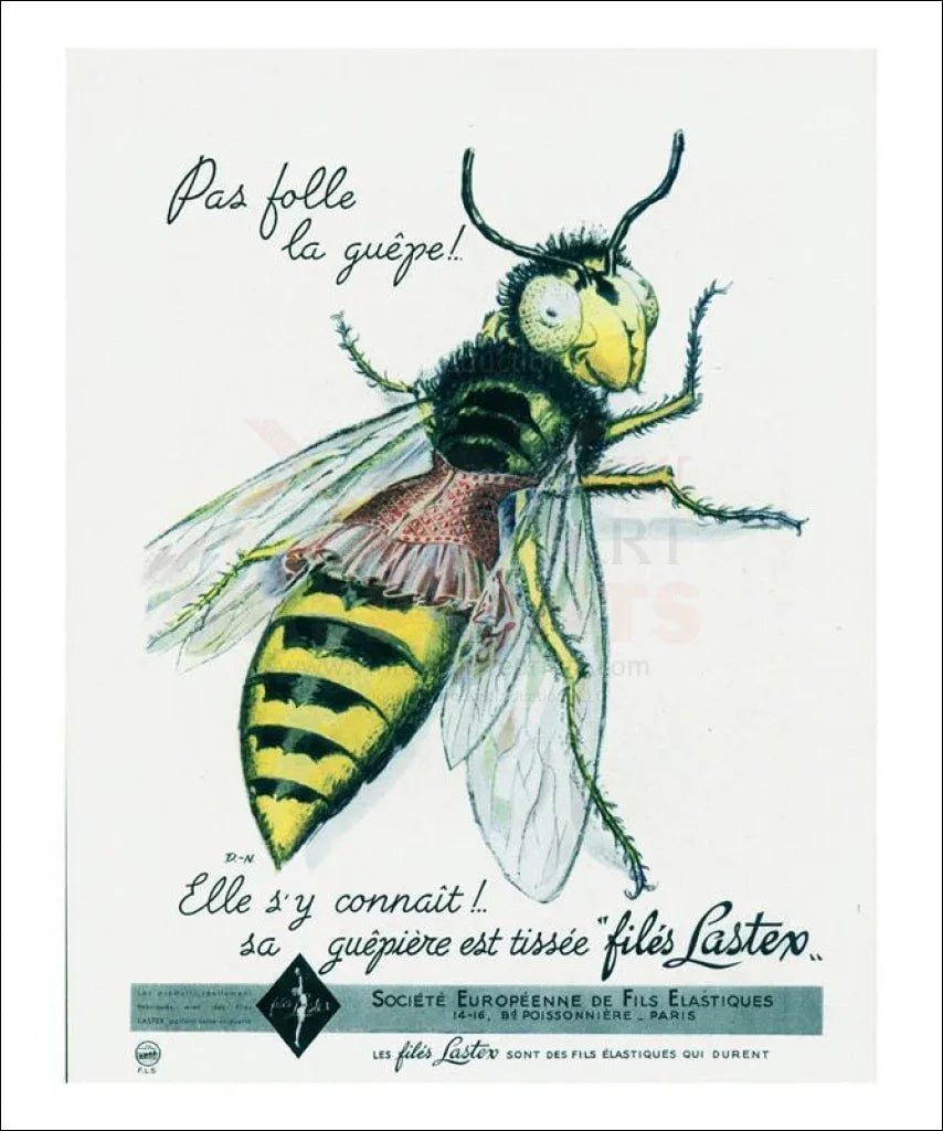 Shapely Bee - VINTAGEARTREPRINTS.COM