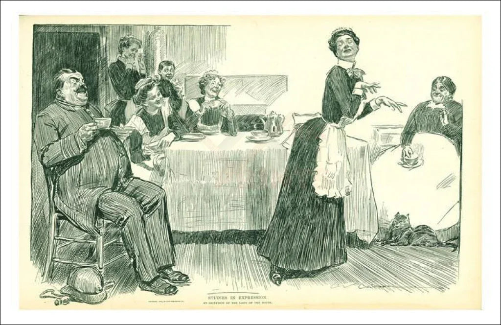 Gibson Girls Studies in Expression 1902 - VINTAGEARTREPRINTS.COM