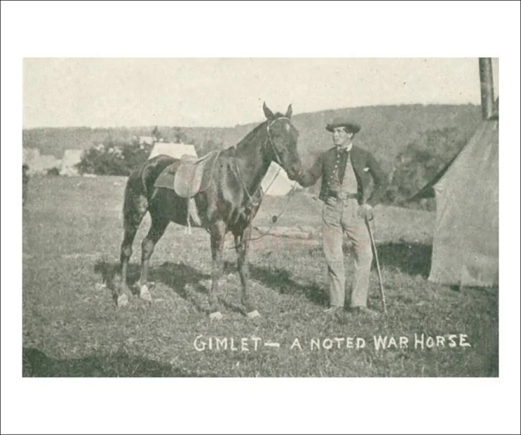 Gimlet the war horse of the Potomac - VINTAGEARTREPRINTS.COM