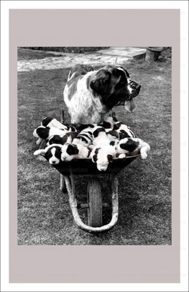 Mama St. Bernard & Litter - VINTAGEARTREPRINTS.COM