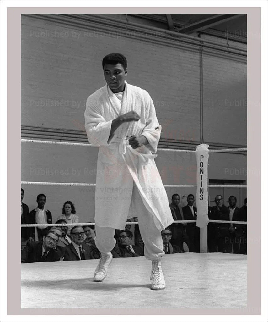 Muhammad Ali born Cassius Marcellus Clay - VINTAGEARTREPRINTS.COM