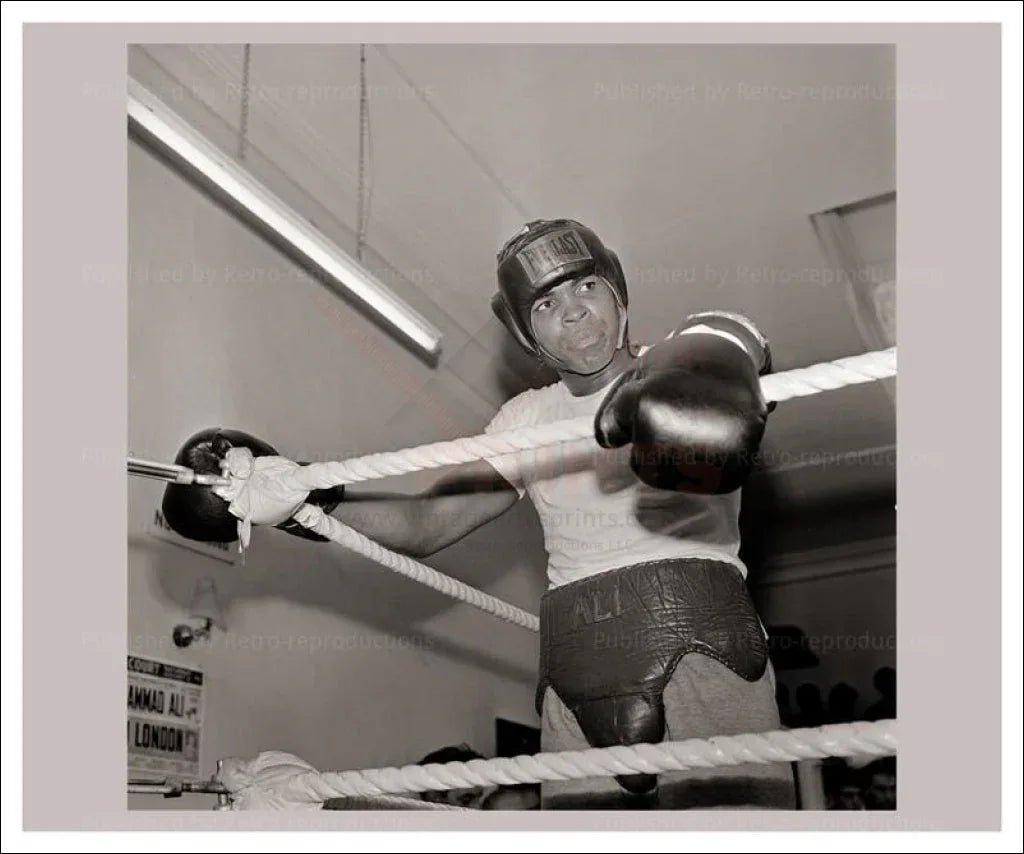 Muhammad Ali born Cassius Marcellus Clay - VINTAGEARTREPRINTS.COM