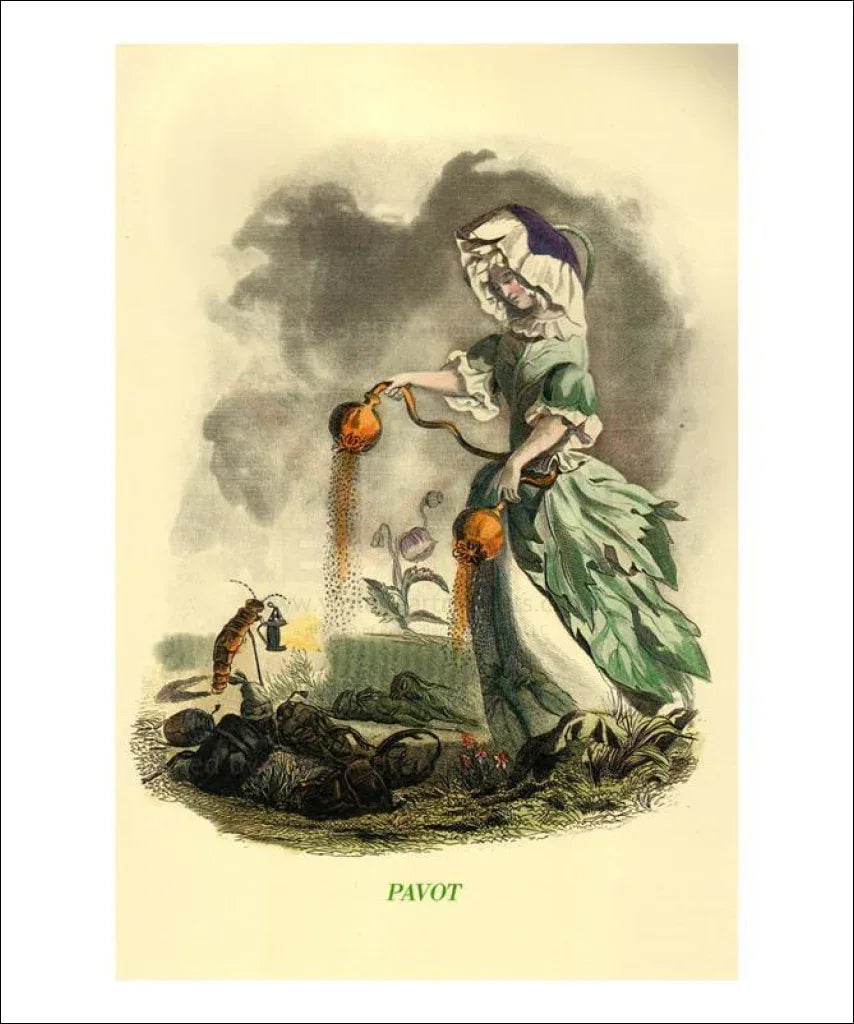 Discover the Unique Pavot Art Print | Vintage Art Reprints