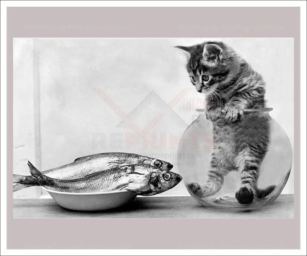 A Dream Comes True - VINTAGEARTREPRINTS.COM