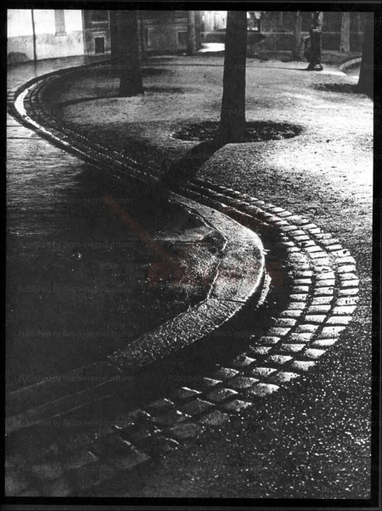 A Boardwalk in Shape of a Snake, Paris at Night - VINTAGEARTREPRINTS.COM