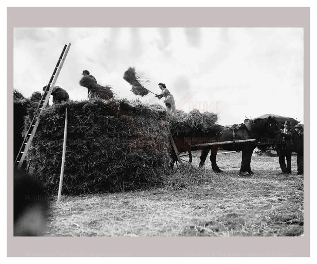 On the Land 9 - Hay Balers - VINTAGEARTREPRINTS.COM