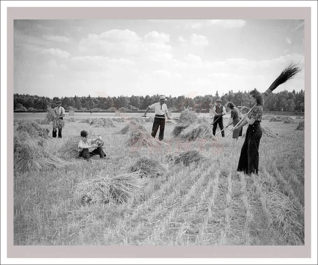 On the Land 8 - Reapers - VINTAGEARTREPRINTS.COM