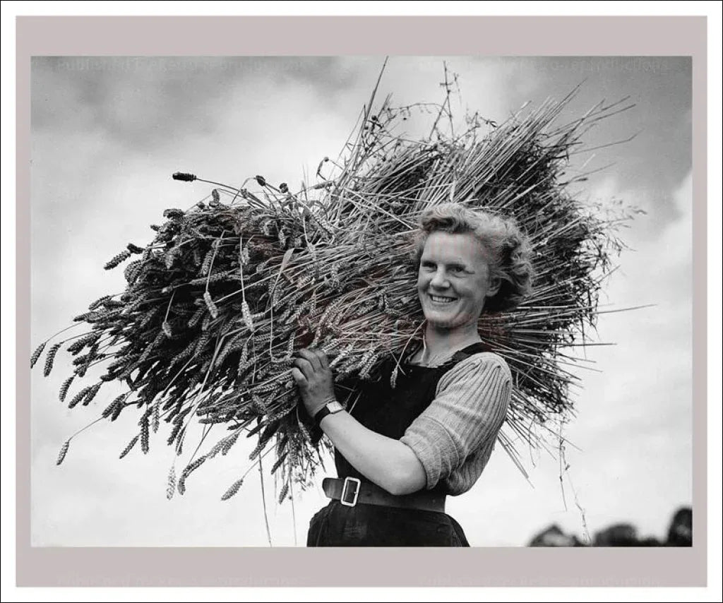 On the Land - Reaper - VINTAGEARTREPRINTS.COM