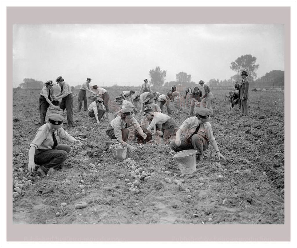Women at War - Forces Services 6, vintage art photo print reproduction, WWII - Vintage Art, canvas prints
