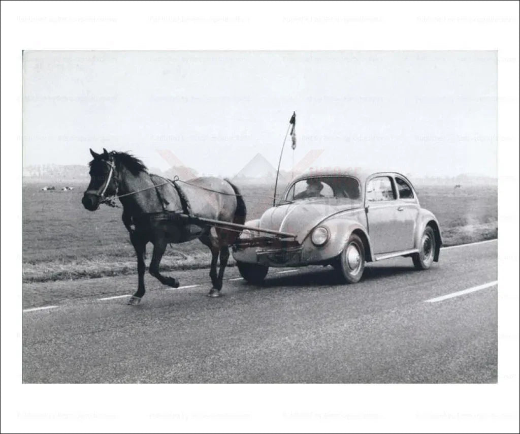 Horse-drawn VW Bug - VINTAGEARTREPRINTS.COM