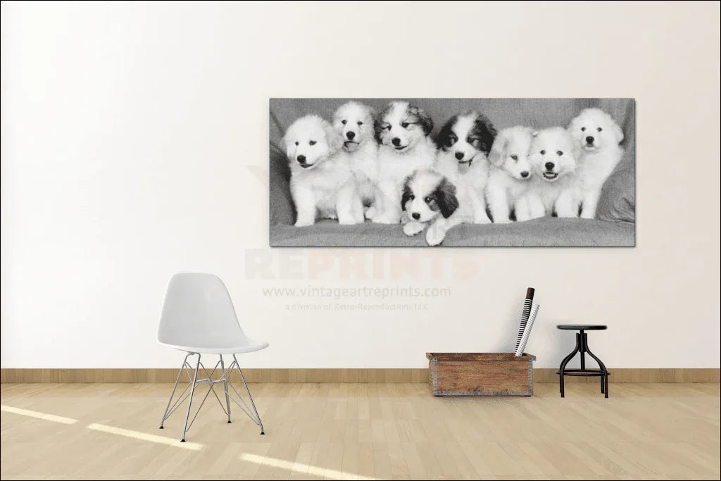 Pyrenean Puppies - VINTAGEARTREPRINTS.COM