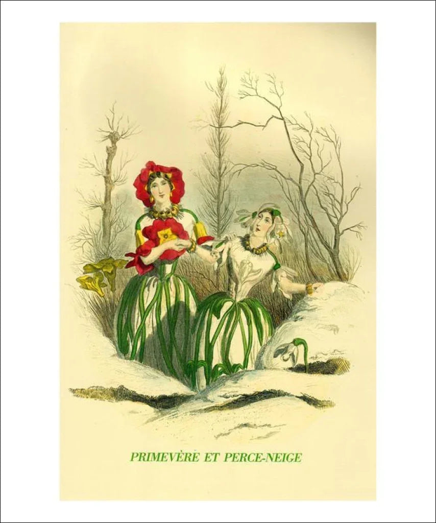Primevere et Perce-Neige - VINTAGEARTREPRINTS.COM