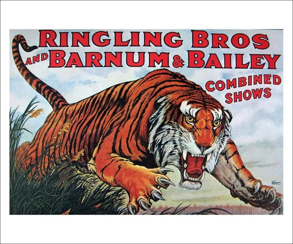 Affiche Vintage 2003 Ringling Bros Barnum & Bailey Circus - Moto Manie - Centre Patriotique, 22"x14"