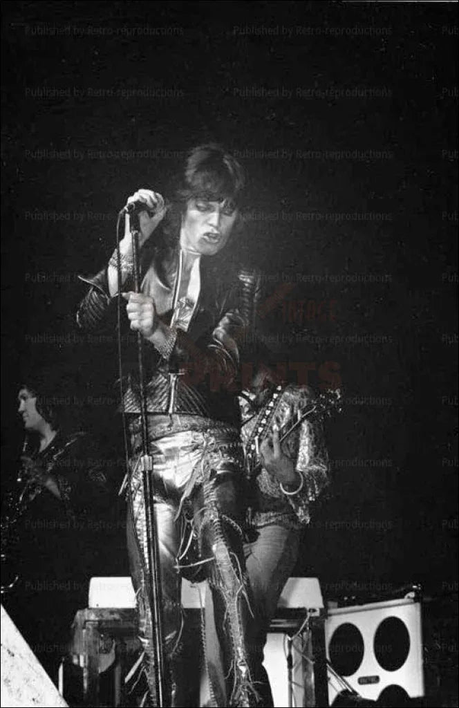 Rolling Stones, Mike Jagger in Concert - VINTAGEARTREPRINTS.COM