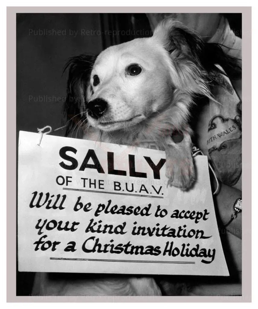 Sally Seeks a Home - VINTAGEARTREPRINTS.COM