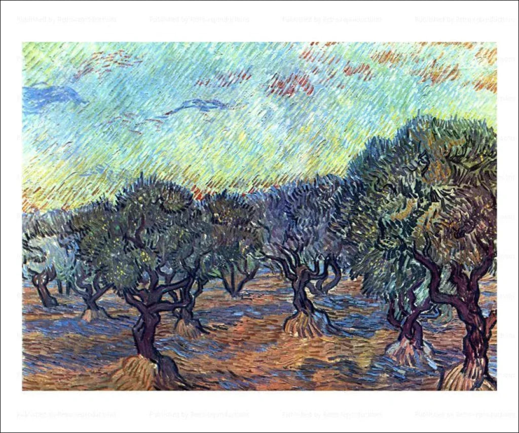 The Olive Grove, Vincent Van Gogh, 1889 - VINTAGEARTREPRINTS.COM