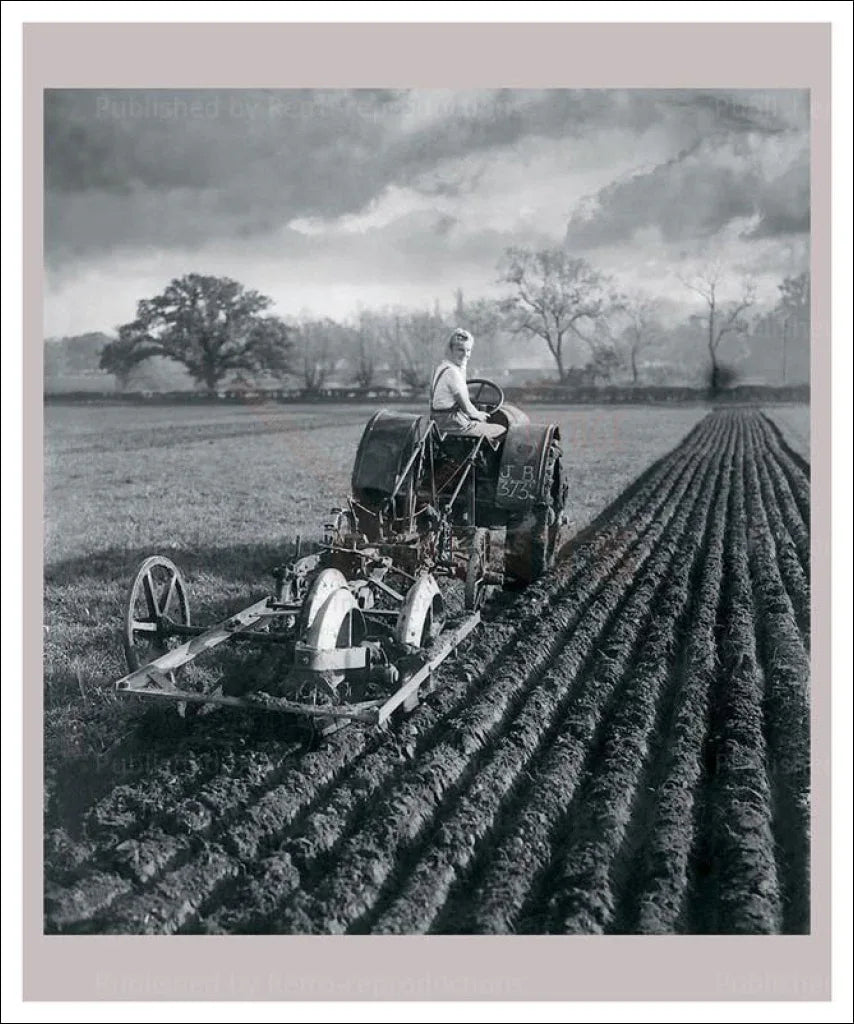 On the Land 14 - Farming - VINTAGEARTREPRINTS.COM