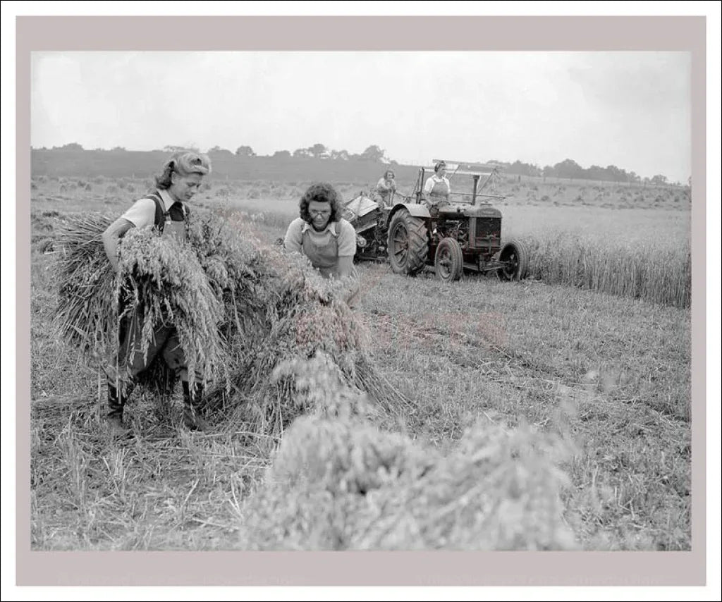 On the Land 15 - Wheat Reapers - VINTAGEARTREPRINTS.COM