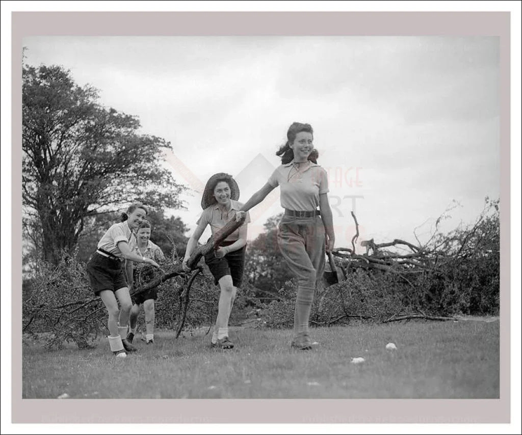 On the Land 16 - Arborists - VINTAGEARTREPRINTS.COM