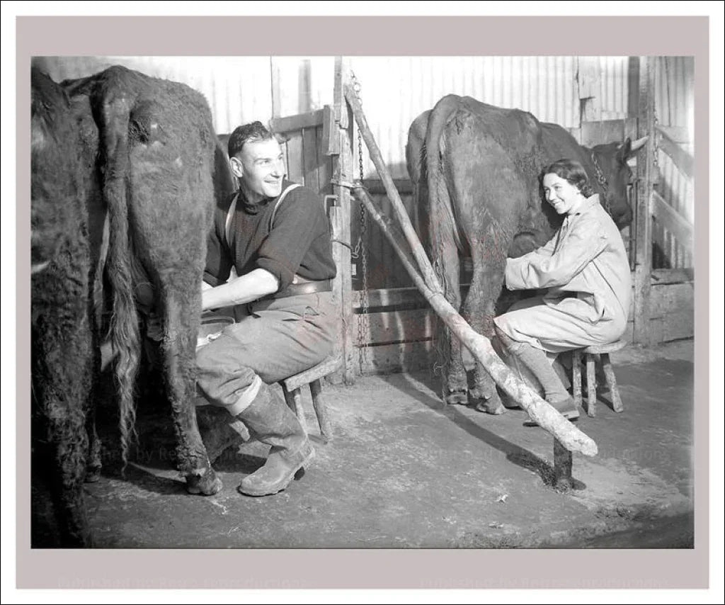 On the Land 17 - Husbandry - Milking Cows - VINTAGEARTREPRINTS.COM