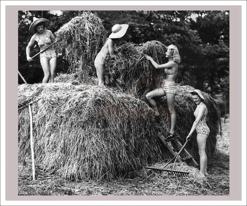 On the Land 19 - Hay Balers - VINTAGEARTREPRINTS.COM