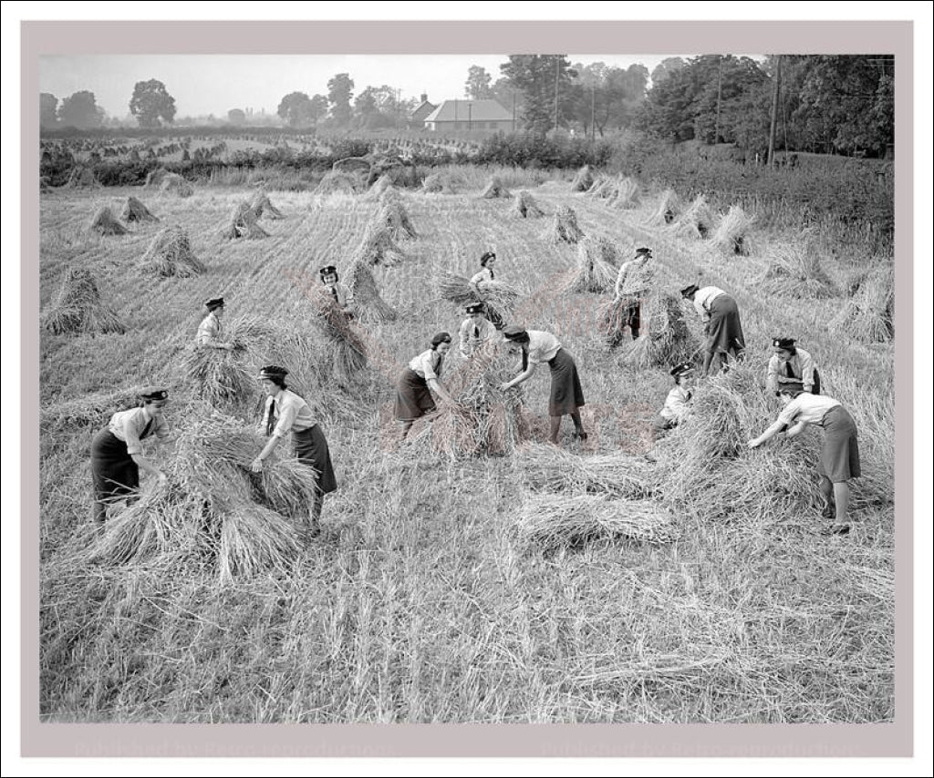 Vintage art canvas prints, Women at War - on the Land 21, WWII - Vintage Art, canvas prints