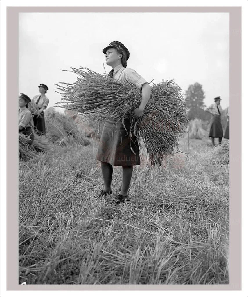 On the Land 22 - Farming Wheat - VINTAGEARTREPRINTS.COM