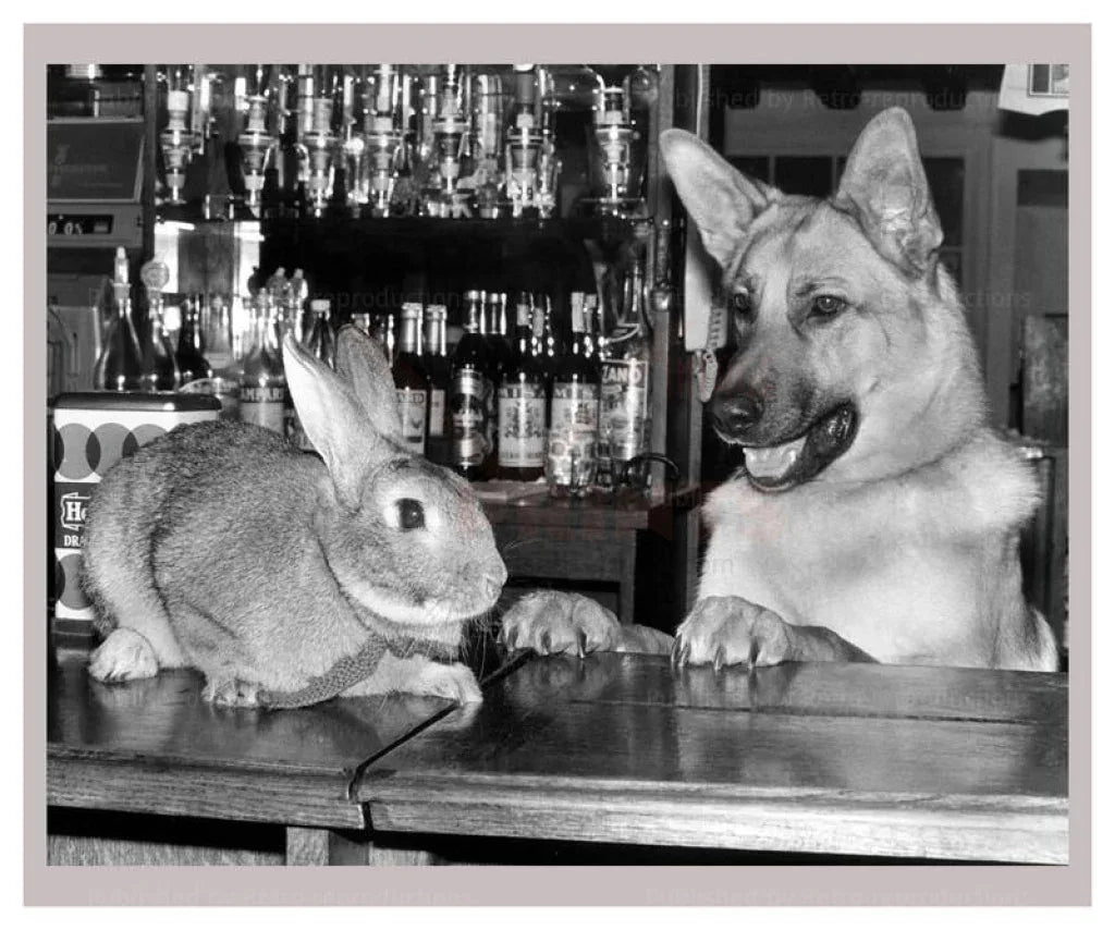 Want a Drink? - VINTAGEARTREPRINTS.COM