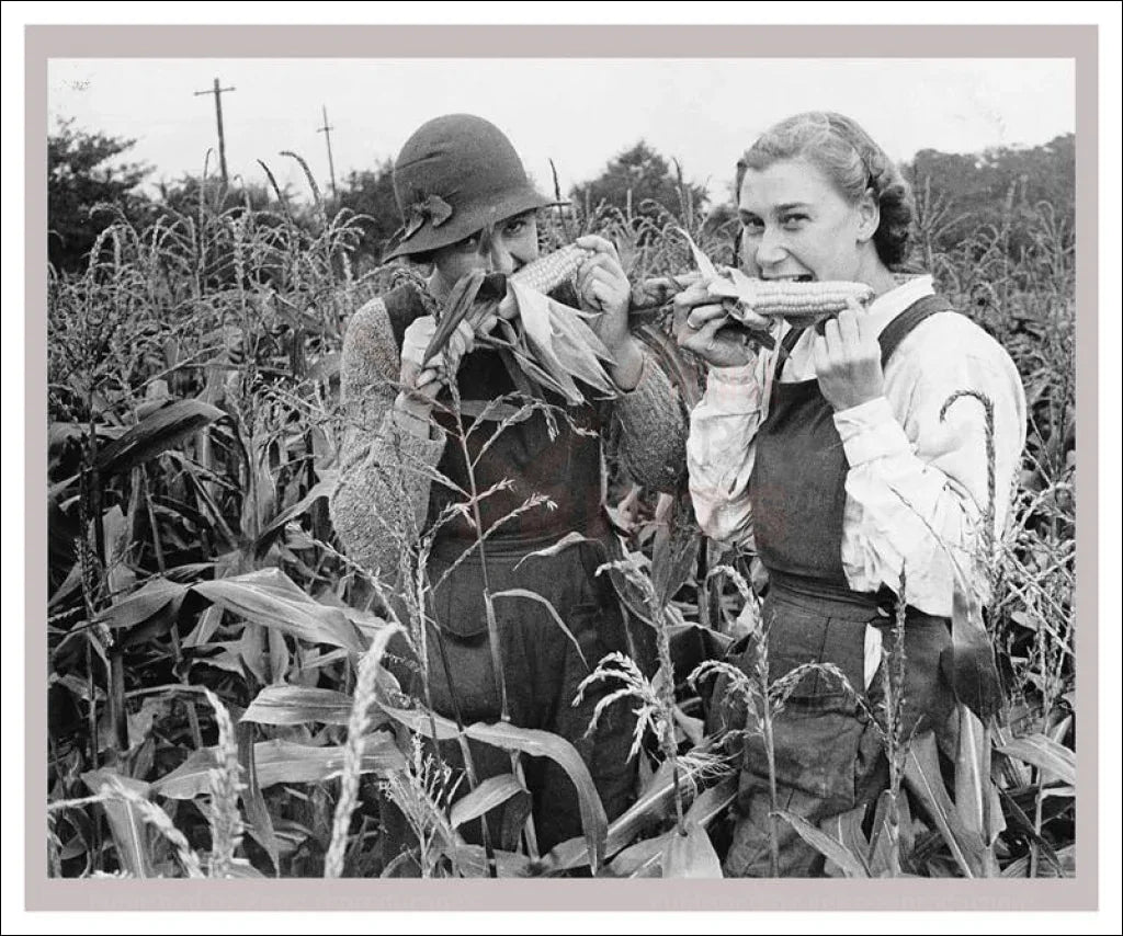 On the Land 3 - Farming Corn - VINTAGEARTREPRINTS.COM
