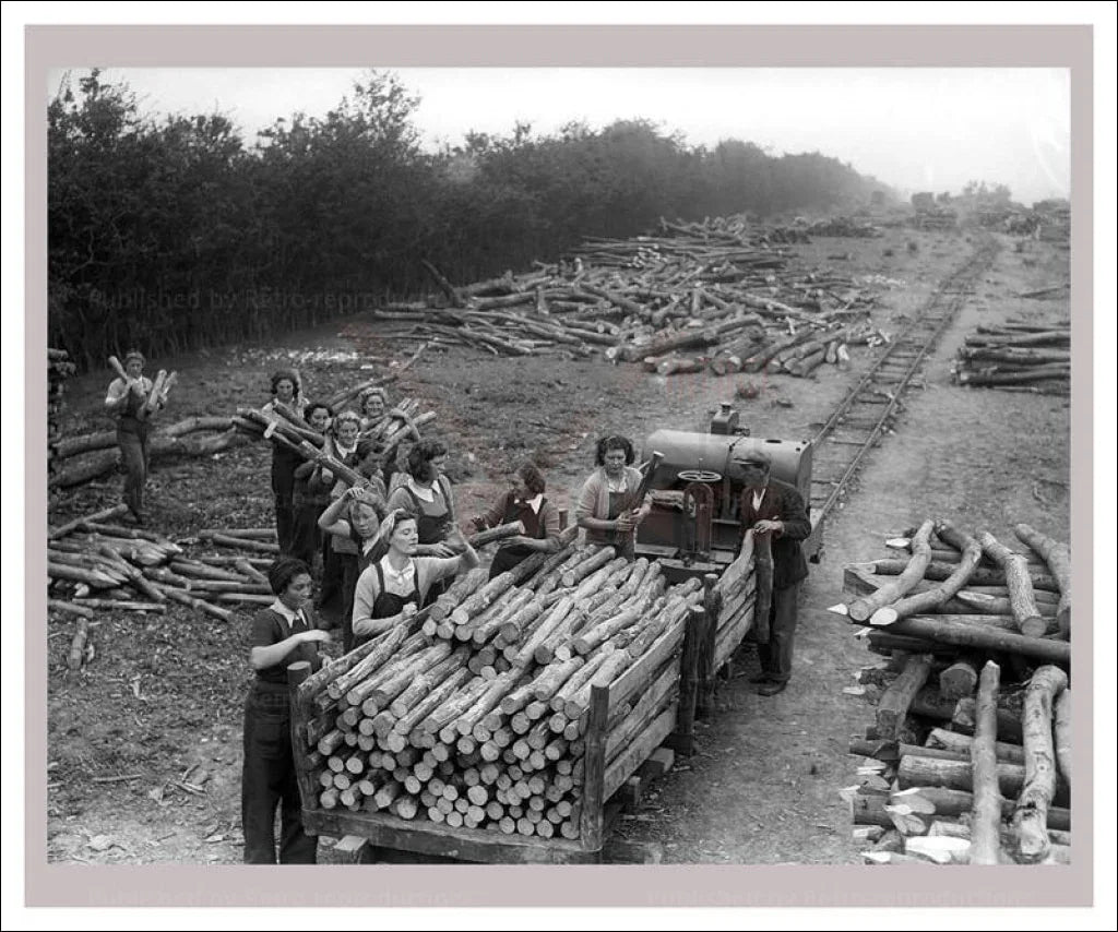 On the Land 5 - Forestry - VINTAGEARTREPRINTS.COM