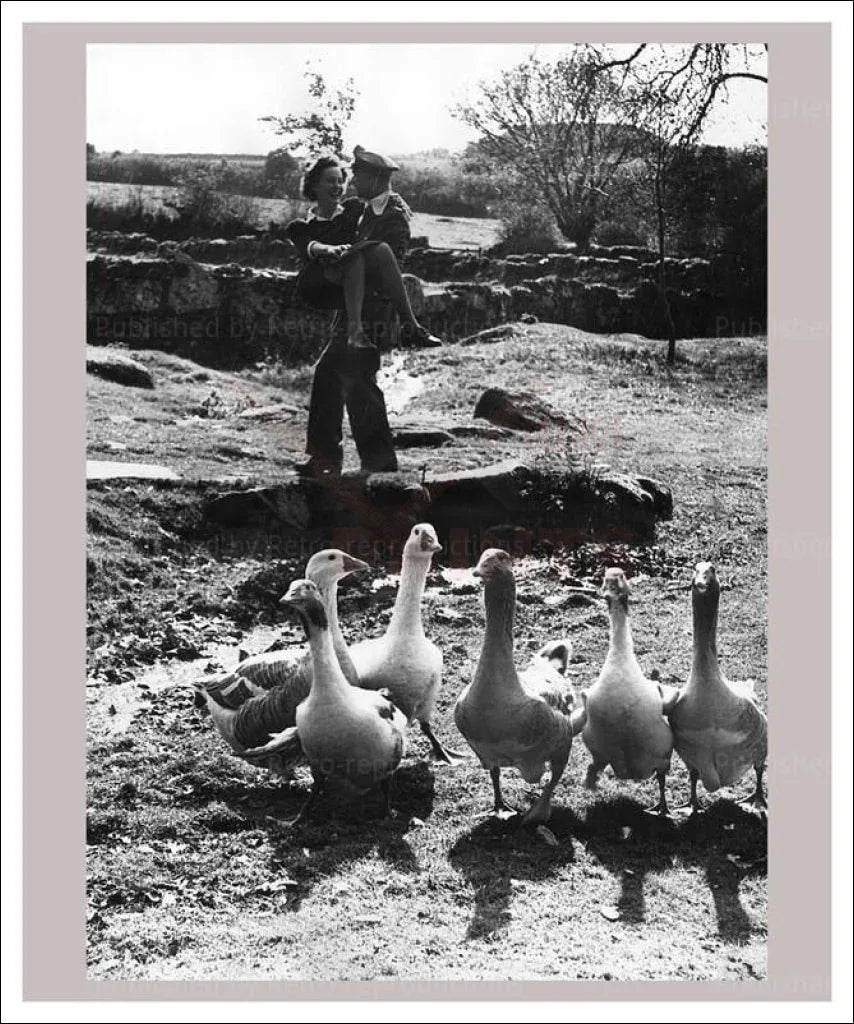 Romance 11 - Amidst a Gaggle of Geese - VINTAGEARTREPRINTS.COM