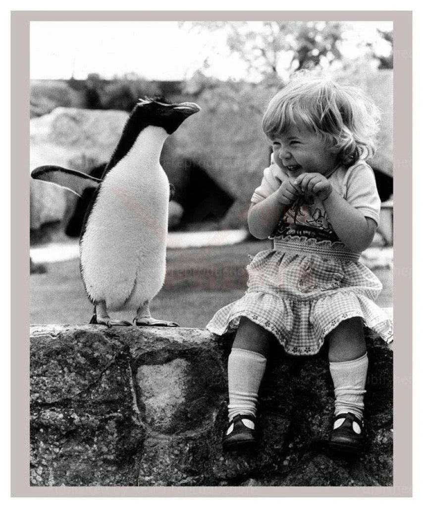 Penguin Grins - VINTAGEARTREPRINTS.COM