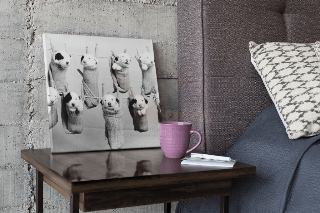 Hang Out To Dry Photographic Digital Print