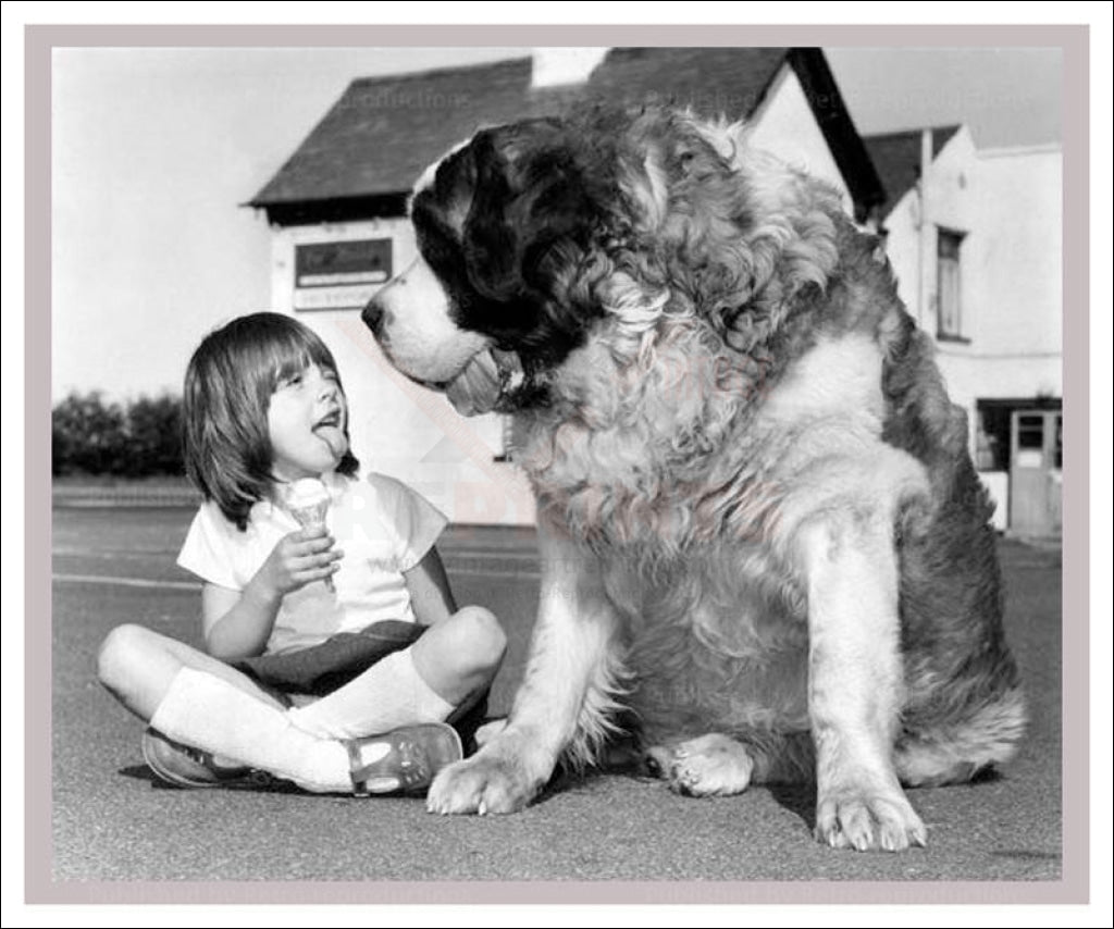 Give us a Lick - Vintage Art, canvas prints