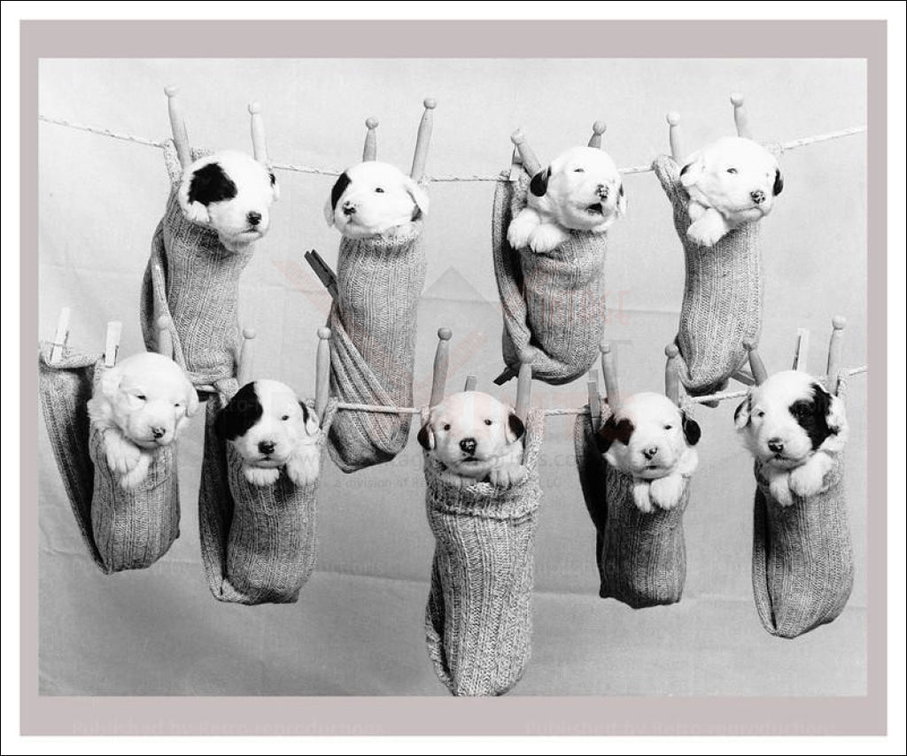 Hang out to Dry - Vintage Art, canvas prints