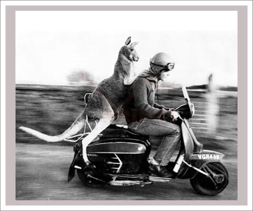 Hopping along - Vintage Art, canvas prints