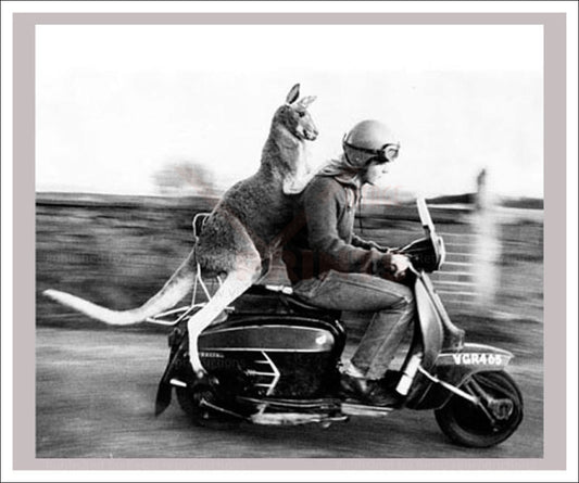 Hopping along - Vintage Art, canvas prints