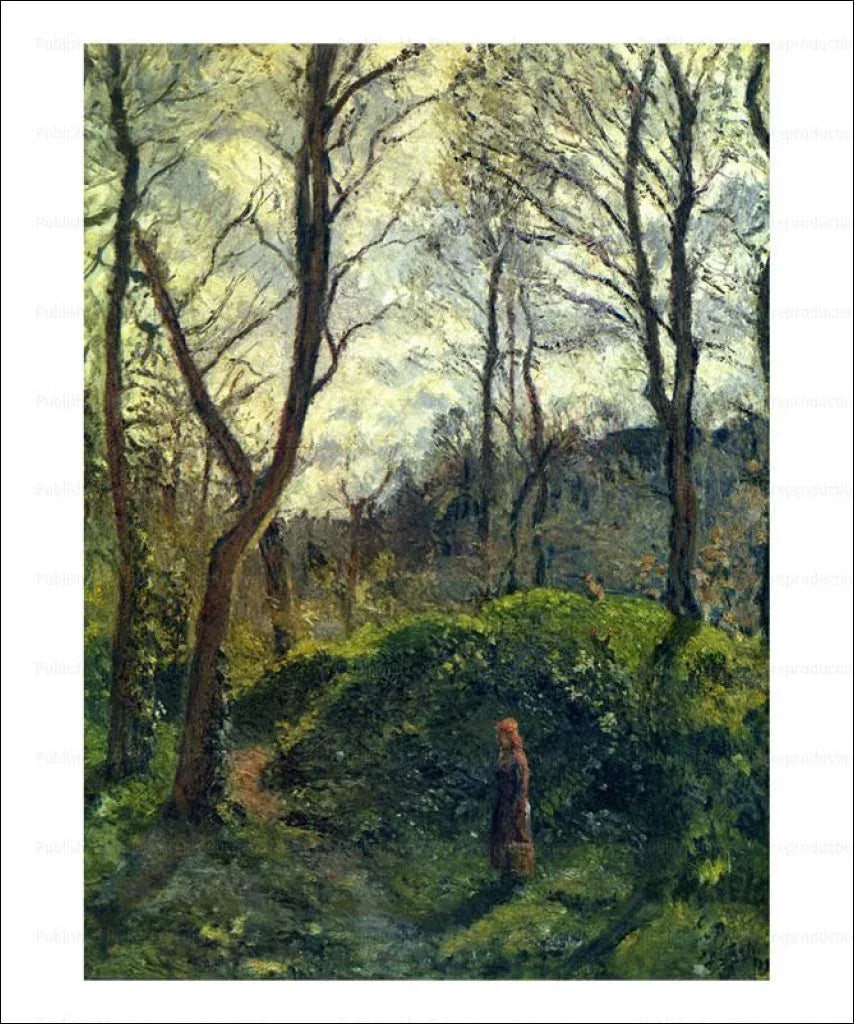 Landscape with big green trees