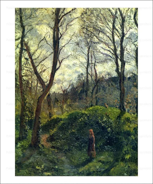 Landscape with big green trees
