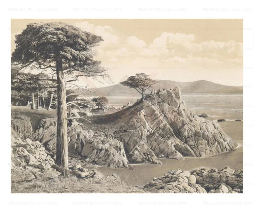 Midway Point 17 Mile Drive, Pebble Beach - VINTAGEARTREPRINTS.COM