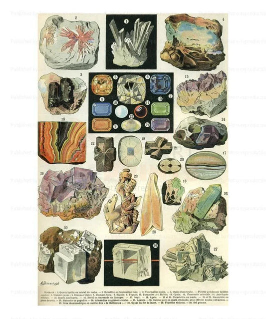 Minerals #2 - VINTAGEARTREPRINTS.COM