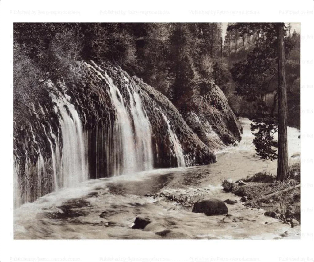 Mossbrae Falls, Shasta Springs - VINTAGEARTREPRINTS.COM